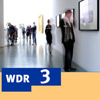 WDR3_mosaik100