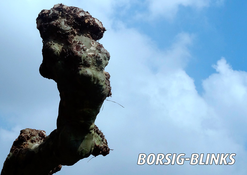 Borsig-Blinks. Foto: Rolf Dennemann
